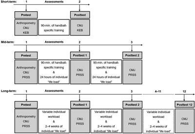 Interaction between the leg recovery test and subjective measures of fatigue in handball players: short-, mid-, and long-term assessment